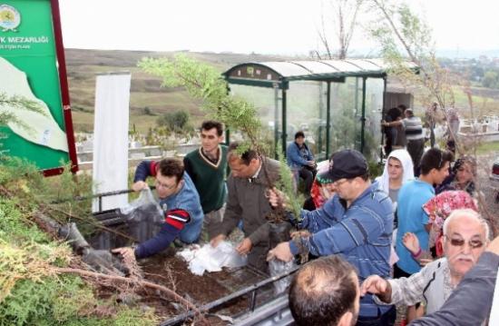Samsun Orman İşletme Bin Fidan Dağıttı