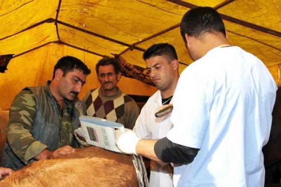 Keçiören'de Gebe Kurbanlıklara Geçit Yok