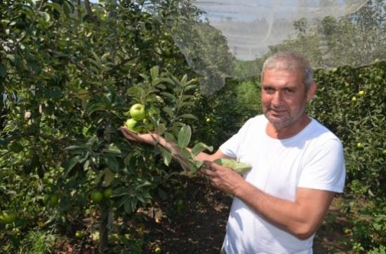 Organik Tarım Fatsa'da Benimseniyor