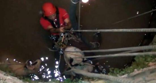 AKUT'tan kurbanlık kurtarma operasyonu!