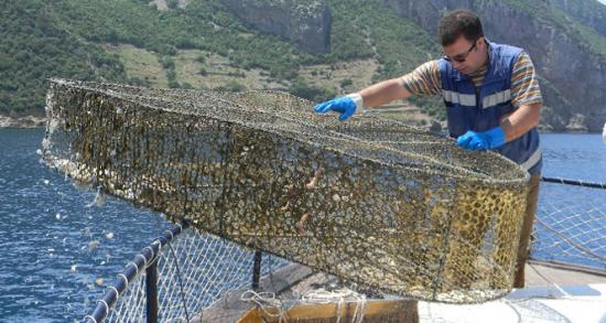 Tam 45 ton ağ çıkarıldı!