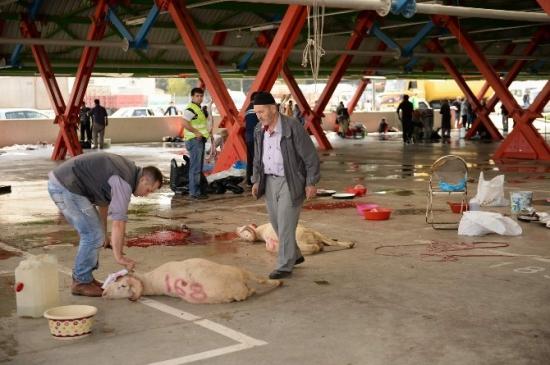 Osmangazi'de Örnek Kurban Kesimi