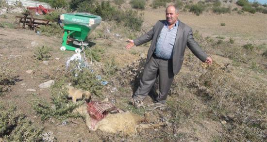 Bayramın değil hastalığın kurbanı oldular!