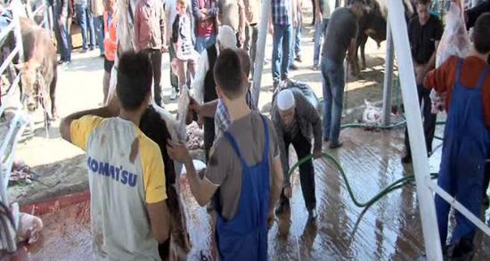 Bu da mecburi kaçak kesim!