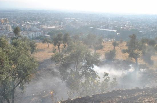 Aydın'da Arazi Yangını Korkuttu