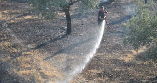 Aydın'da arazi yangını korkuttu!