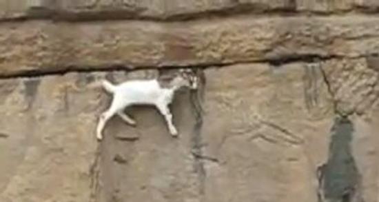 Küçük çocuğun inanılmaz ölümü!