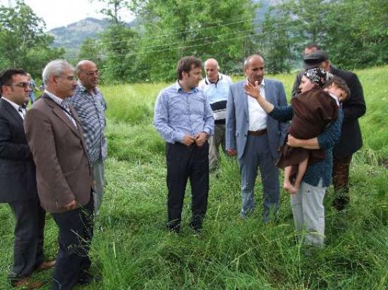 Artvin'de Yangın 2 Ev Kül Oldu