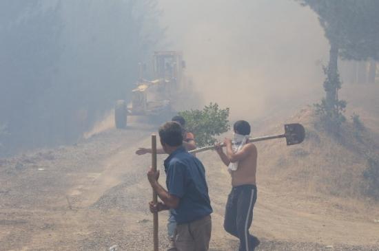 Bingöl'de Çıkan Yangın Kontrol Altına Alındı
