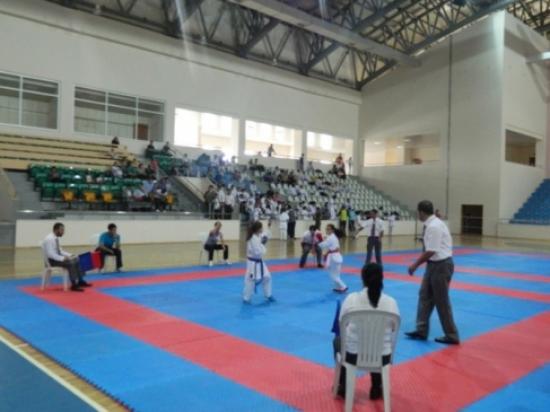 Geleneksel 'bingöl Balı Karate Turnuvası' Başlıyor