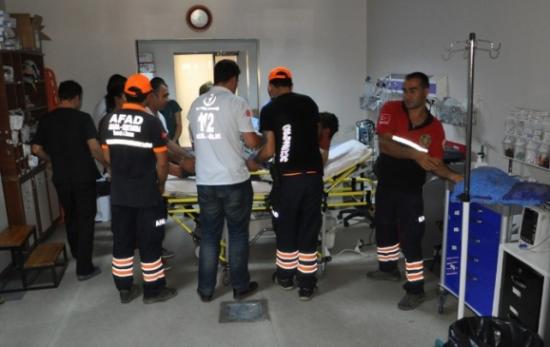 Ayıyı Soluksuz Bırakarak Kurtuldu