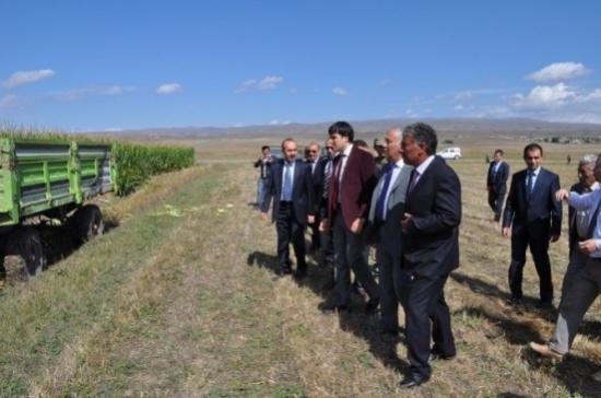 Arpaçay'da Tarla Günü