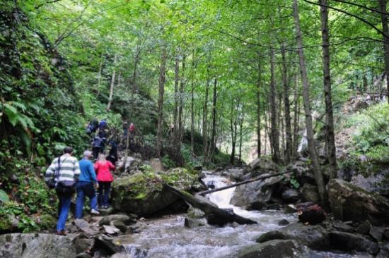 Gümüşhaneli Dağcılar Örümcek Ormanlarında Yürüdü