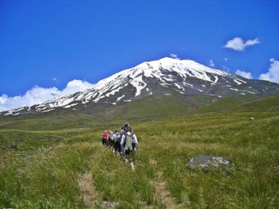 Ağrı Dağı Milli Parkı Yol Yapım Projesi Onaylandı