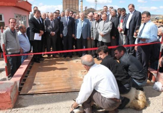 Elazığ'da Şeker Pancarı Alım Kampanyası Başladı