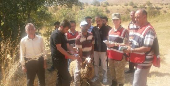 Jandarma Kurban Bayramı Öncesi Hayvan Sahiplerine Uygulamalı Eğitim