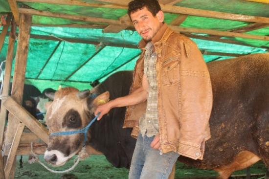 Kurbanlıklar Alıcı Bekliyor