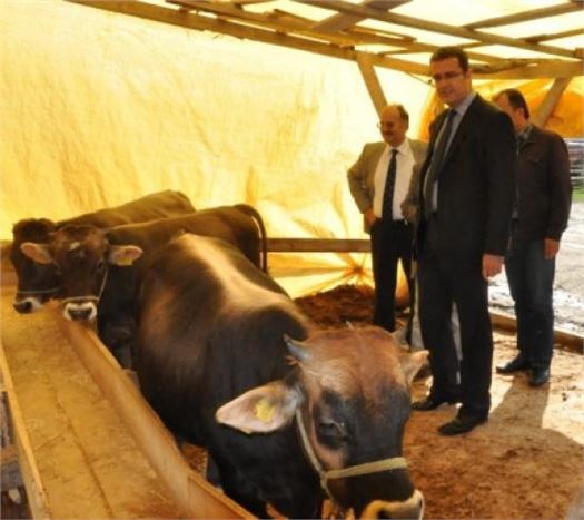 Kurban Derisinden 1 Milyar Dolar Gelir