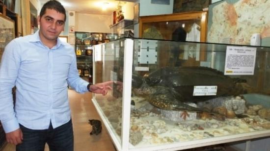 Dünyanın En Büyük Su Kaplumbağası Edremit'te Sergileniyor