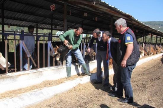 Hendek'te Kesimhaneler Denetlendi