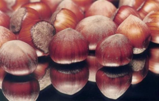 Yeni Sezon Fındık İhracatı 225 Bin Ton