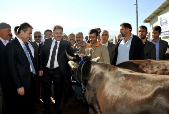 Başkan Ahbet Çakır Hayvan Pazarı'nda İnceleme Yaptı