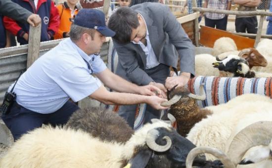 Kurban Satış Yerleri Vatandaşı Memnun Etti