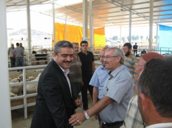 Başkan Alıcık Hayvan Pazarını Gezdi