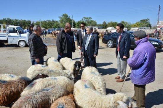 Erzincan Valisi Süleyman Kahraman Hayvan Pazarında İncelemelerde Bulundu