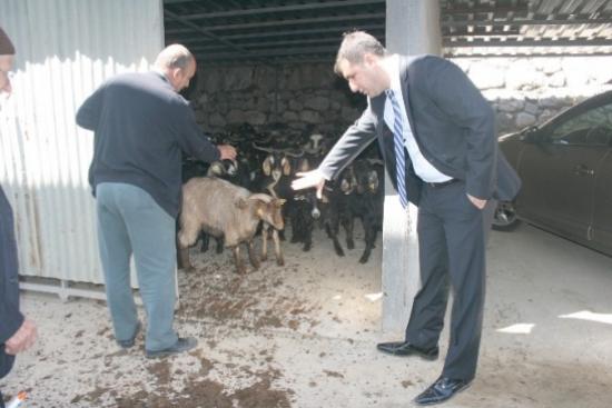 Yetimler Sultanı Projesi