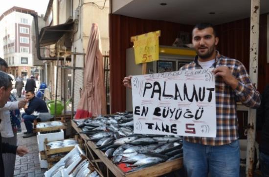 Denizlerde Balık Bereketi