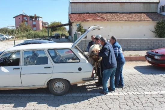Tebessüm Ettiren Kurbanlık Taşıma Manzaraları
