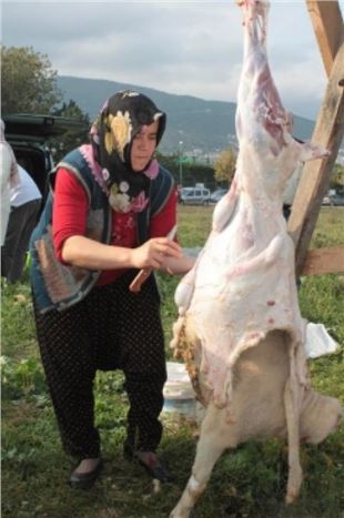 Kadın Kasaplar Erkekleri Aratmadı