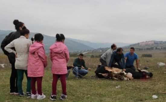 Kurbanlar Çocukların Gözleri Önünde Kesildi