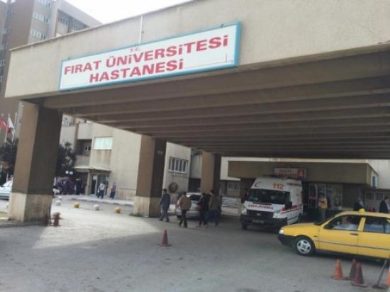 Elazığ'da 33 Kişi Kurban Keserken Kendini Yaraladı