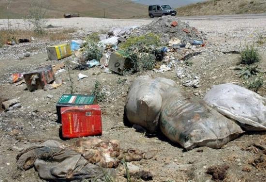 Gömülmeyen Sakatatlar Tehlike Saçıyor