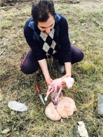 Van'da Gebe Kurbanlık Şoku