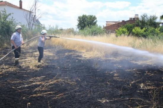 Nazilli'de 3 Hektar Ziraat Alanı Kül Oldu