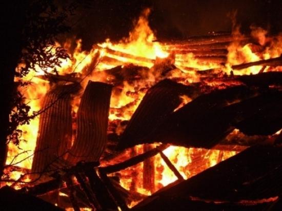 Artvin'in Şavşat İlçesindeki Yangınlarda Kundaklama Şüphesi