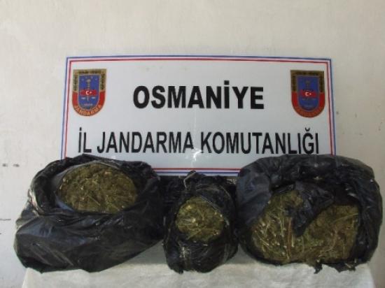 Osmaniye'de Uyuşturucu Operasyonu