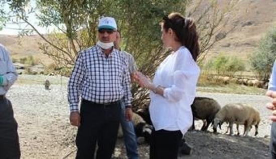 Geçitli Köyünde Hayvan Hastalığı Teşhisi Çalışmaları Sürüyor