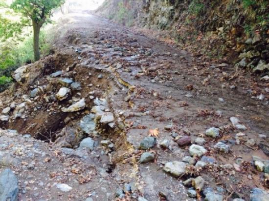 Türkoğlu'nda Selin Yaraları Sarılıyor