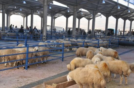 Kurban Kesim Yerleri Belirlendi