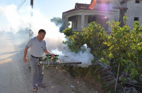 Sivrisinekle Mücadele Devam Ediyor