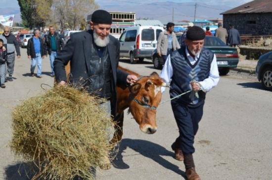 Kaçan Kurbanlıklar Sahiplerine Zor Anlar Yaşattı