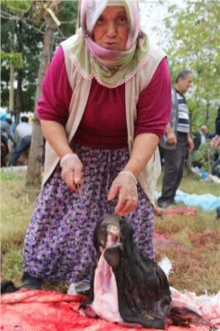 Giresun'da Bayan Kasap İş Başında