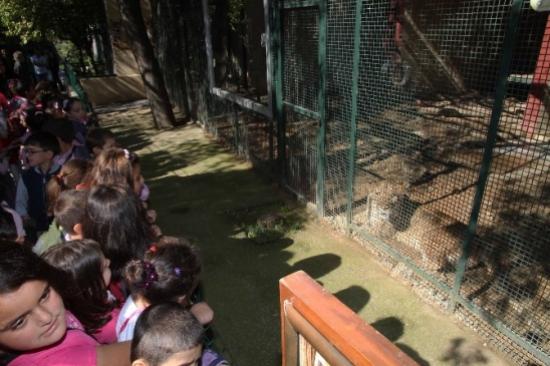 Hayvanları Koruma Günü Kutladı