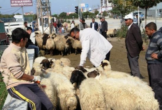 Van'da Kurbanlıklar Elde Kaldı