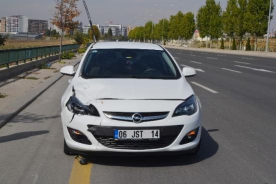 Başkent'te Hipodroma Giren Danaya Otomobil Çarptı