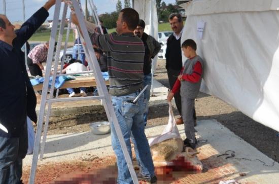 Kesim Yerleri Dışında Kurban Kesenlere Ceza